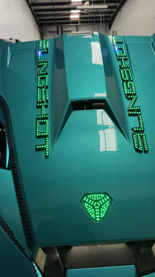(1A3) Slingshot Hood Lights