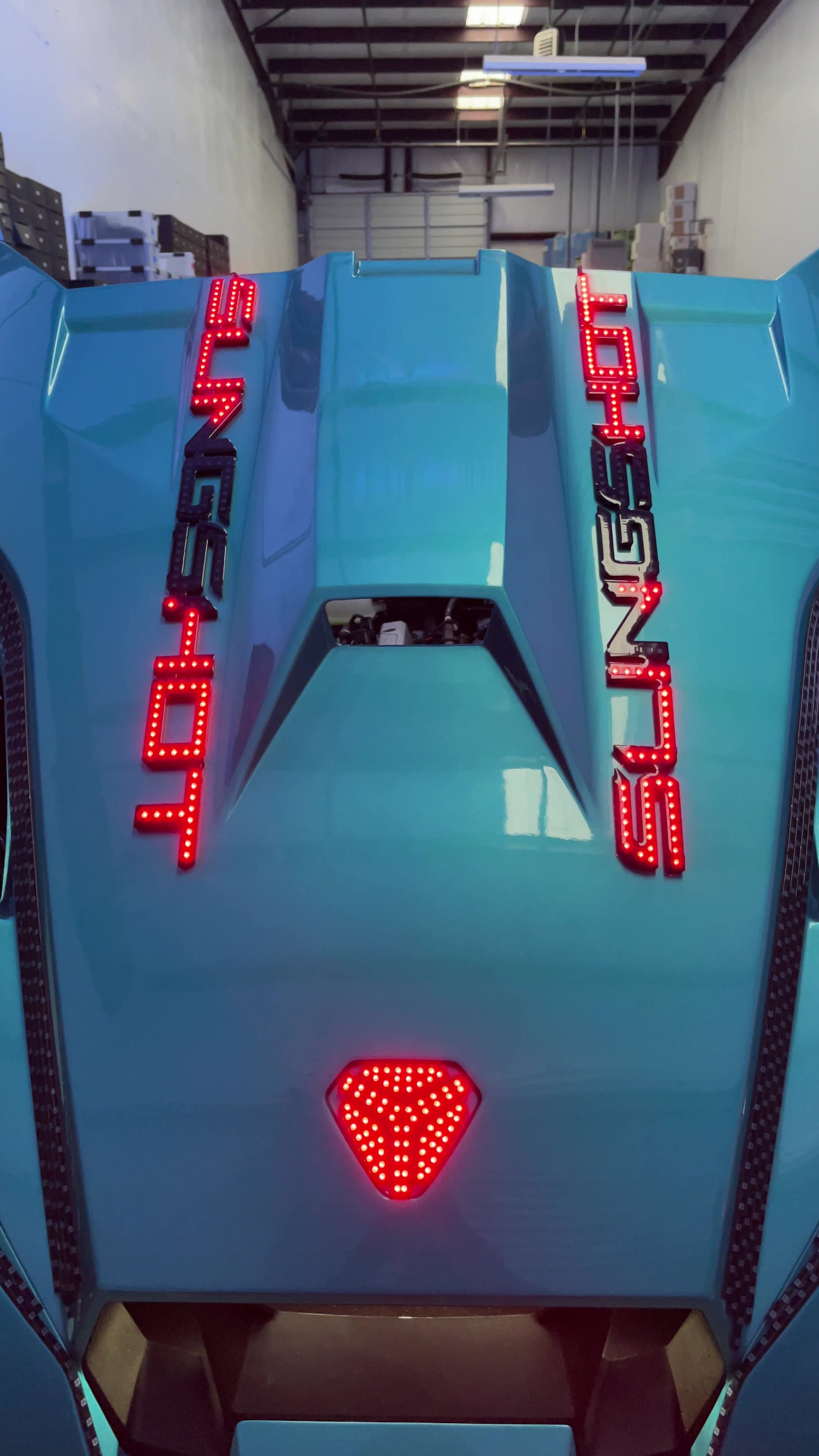 (1A3) Slingshot Hood Lights