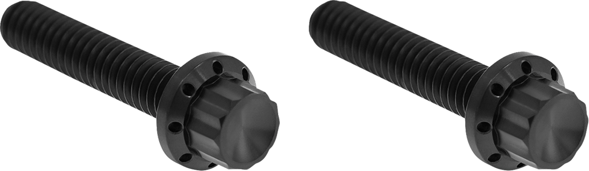 Bolt Kit - Hydraulic Clutch - Titanium - 12-Point - M8/Twin Cam - Black