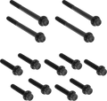 Bolt Kit - Primary Cover - Titanium - 12-Point - Softail - Black
