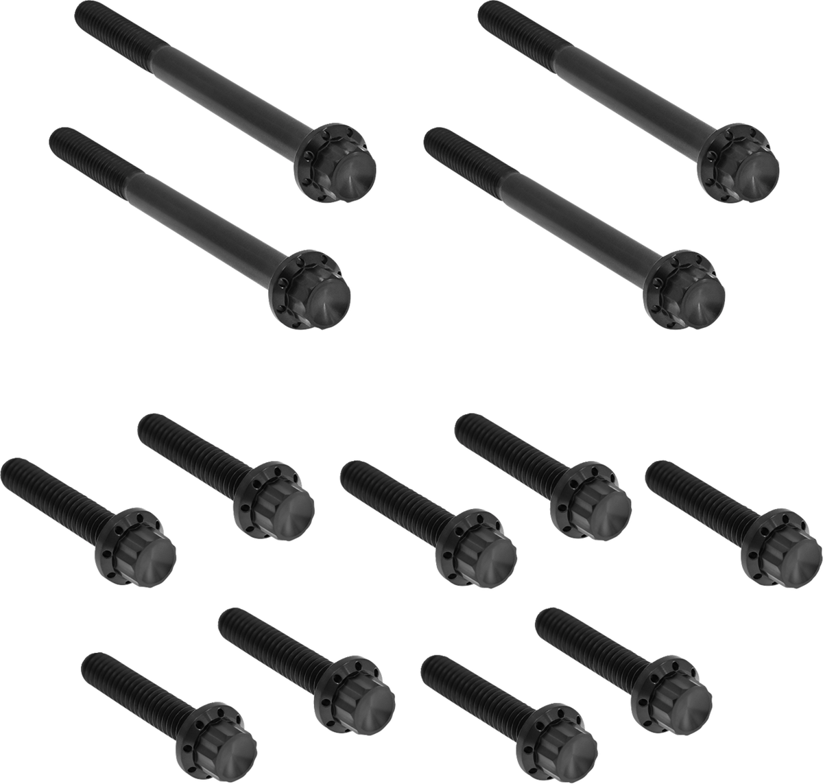 Bolt Kit - Primary Cover - Titanium - 12-Point - Softail - Black