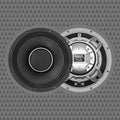 CICADA AUDIO CH8.2W 8-INCH COAXIAL HORN SPEAKERS – 2Ω