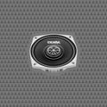 Cicada CXX4 – 4" Pro Coaxial Speakers - Pair