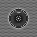 Cicada CXX8 – 8" Pro Coaxial Speakers - Pair