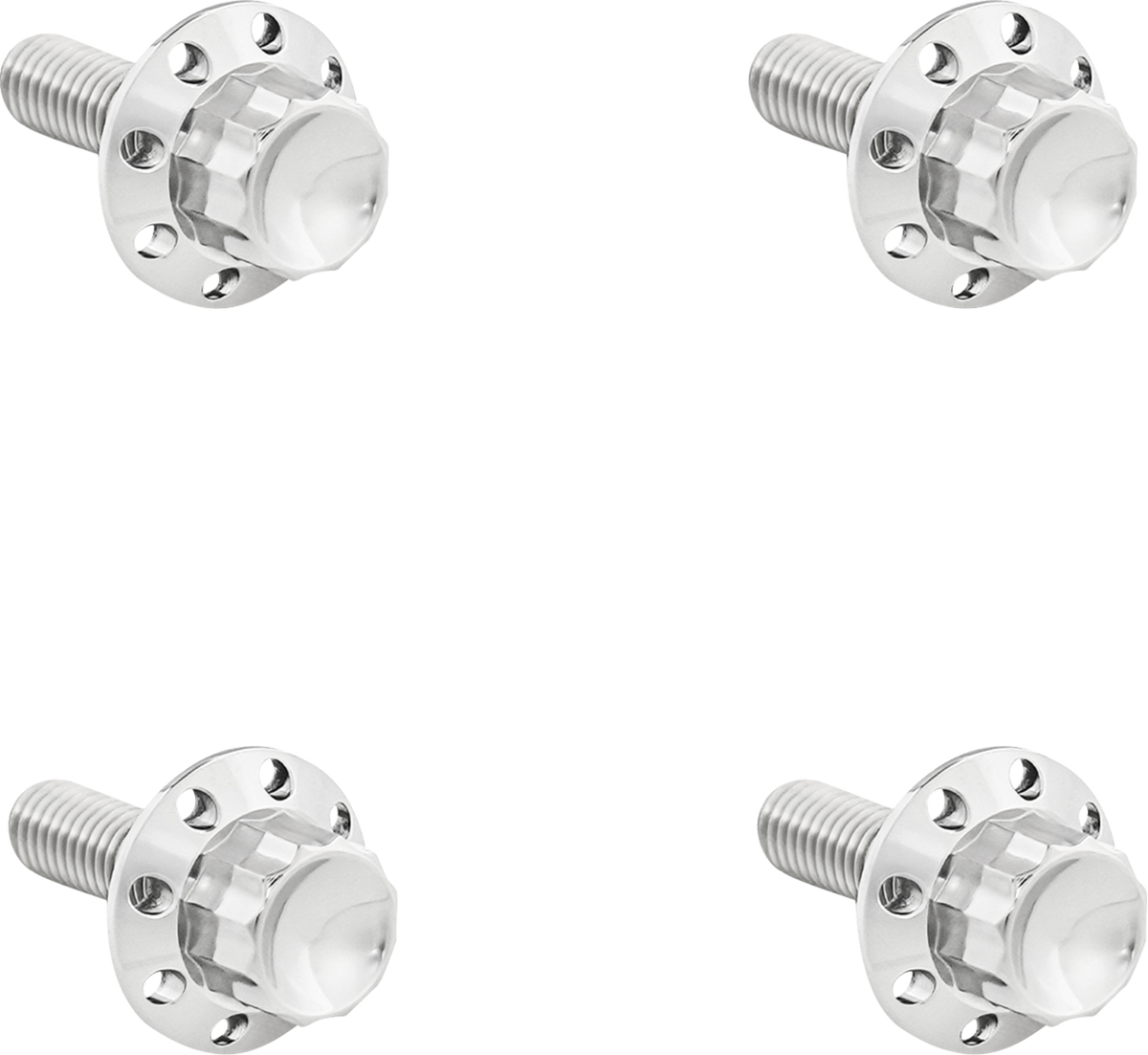 Bolt Kit - Windshield - Titanium - 12-Point - Polished
