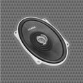Cicada - CXX57.2 - High Performance Full-Range 5x7-inch Pro Coaxial - 2Ω