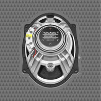 
              Cicada - CXX57.2 - High Performance Full-Range 5x7-inch Pro Coaxial - 2Ω
            