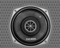 Cicada - CXX525.2- High Performance Full-Range 5.25-inch Pro Coaxial 2OHM