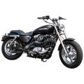 Trask Sportster turbo system