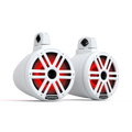 Rockford Fosgate M2WL-10H tower marine speaker