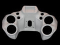 INSANE ASYLUM - INNER FAIRING - RGIPM